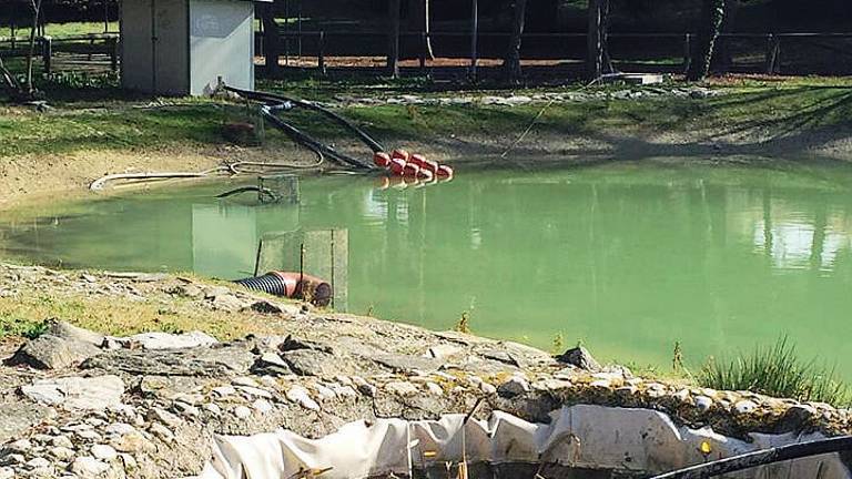 Laghetti al parco della Resistenza di Riccione «Una situazione di totale incuria» Laghetti al parco della Resistenza di Riccione «Una situazione di totale incuria»
