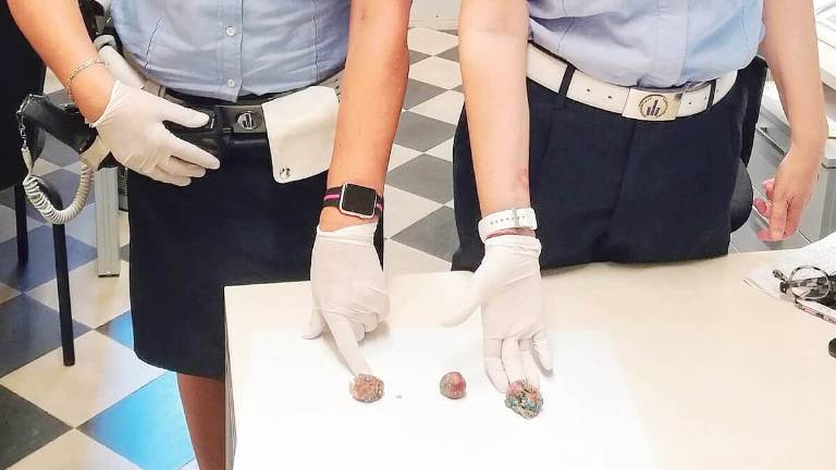 Polpette avvelenate a Faenza, individuato e interrogato un 80enne Polpette avvelenate a Faenza, individuato e interrogato un 80enne