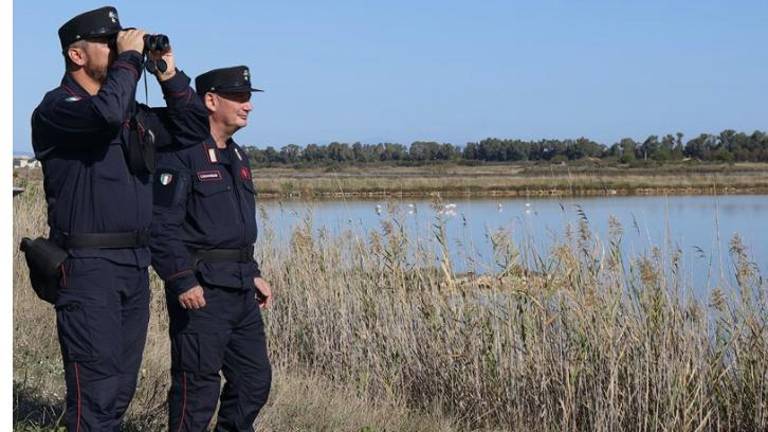 Ravenna, denunciati 6 bracconieri e sequestrati 5 fucili Ravenna, denunciati 6 bracconieri e sequestrati 5 fucili