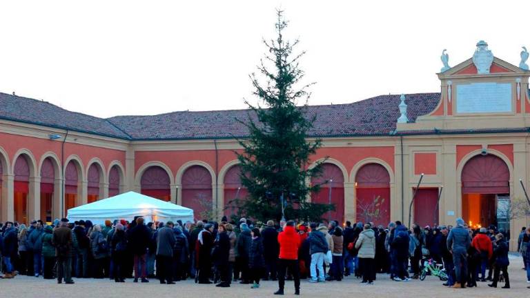 Lugo accende domani l’albero di Natale. Panettoni, animazione e musica Lugo accende domani l’albero di Natale. Panettoni, animazione e musica