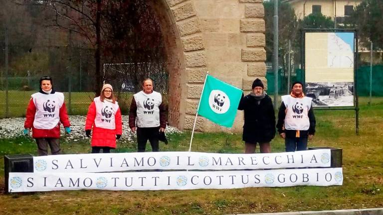 Fiume Marecchia, Wwf: sit in per difenderlo Fiume Marecchia, Wwf: sit in per difenderlo