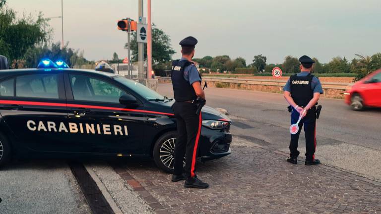 Cesena. Droga, maltrattamento di animali e porto abusivo d’armi: i controlli dei Carabinieri Cesena. Droga, maltrattamento di animali e porto abusivo d’armi: i controlli dei Carabinieri