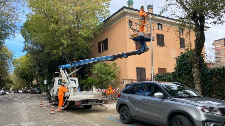 Albero crollato e danni in via Cairoli a Cesena Albero crollato e danni in via Cairoli a Cesena