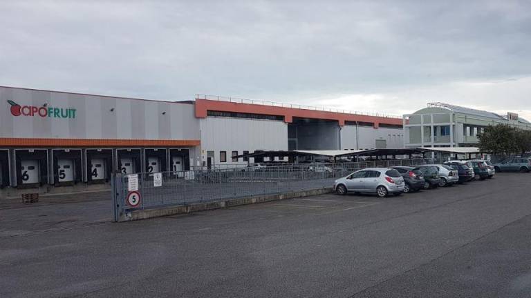 Forlì, la capo banco di Apofruit: Andrò in pensione a 68 anni, sciopero per il futuro delle mie figlie Forlì, la capo banco di Apofruit: Andrò in pensione a 68 anni, sciopero per il futuro delle mie figlie