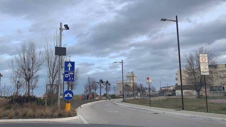Rimini. Ladri di piante sul nuovo lungomare con le telecamere. L’assessore: «Spero si siano coperti bene il viso...» Rimini. Ladri di piante sul nuovo lungomare con le telecamere. L’assessore: «Spero si siano coperti bene il viso...»