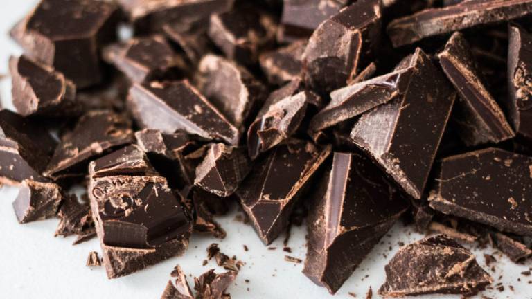 Raccolti 735 euro a Cervia per la macchina per il cioccolato Raccolti 735 euro a Cervia per la macchina per il cioccolato