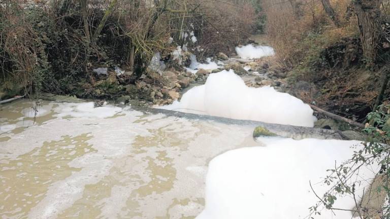 Schiuma nel Fiume Marano. Arpae: individuata l’origine da una ditta Schiuma nel Fiume Marano. Arpae: individuata l’origine da una ditta