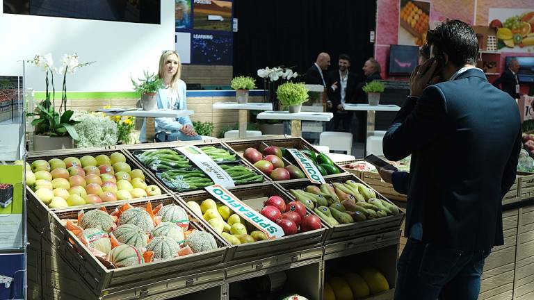 Frutta e verdura: il costo della guerra al Macfrut di Rimini Frutta e verdura: il costo della guerra al Macfrut di Rimini
