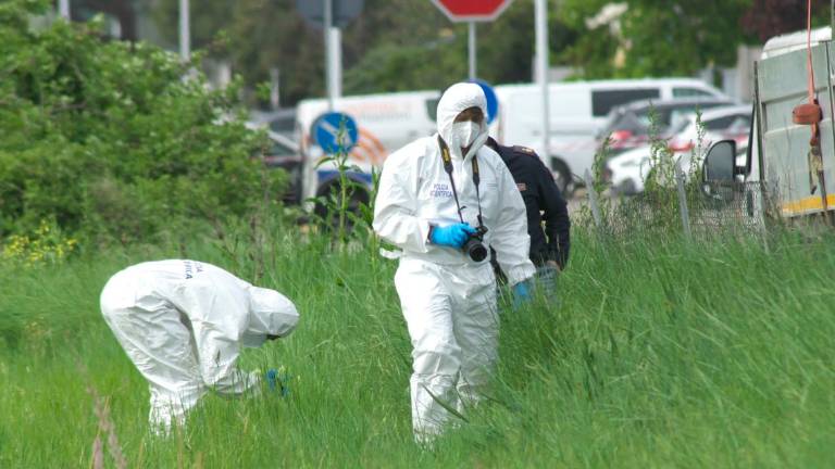 Ravenna, dall'erba spunta una mandibola umana Ravenna, dall'erba spunta una mandibola umana