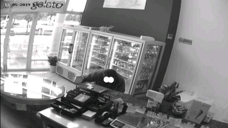 Ravenna, razzia nei bar delle offerte per i gatti. Caccia al ladro seriale Ravenna, razzia nei bar delle offerte per i gatti. Caccia al ladro seriale