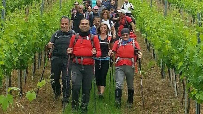 Longiano, domenica mattina una camminata lungo le colline Longiano, domenica mattina una camminata lungo le colline