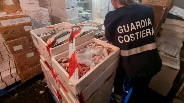 Pesce conservato male: multe e sequestri in tutta la Romagna Pesce conservato male: multe e sequestri in tutta la Romagna