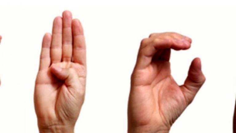 A Cesena un corso per imparare la lingua dei segni A Cesena un corso per imparare la lingua dei segni