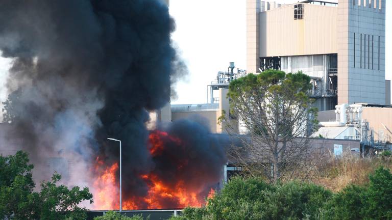 Incendio al termovalorizzatore, il sindaco di Coriano chiede la sorveglianza H24 Incendio al termovalorizzatore, il sindaco di Coriano chiede la sorveglianza H24