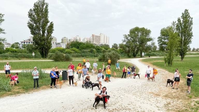 Cattolica, passeggiata a 4 zampe per favorire le adozioni al canile di Rimini Cattolica, passeggiata a 4 zampe per favorire le adozioni al canile di Rimini