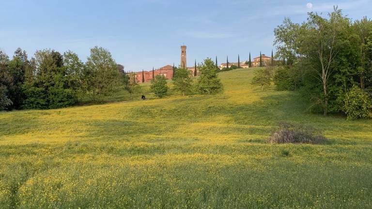 Santarcangelo, 34 nuovi stalli al parcheggio di via del Pino Santarcangelo, 34 nuovi stalli al parcheggio di via del Pino