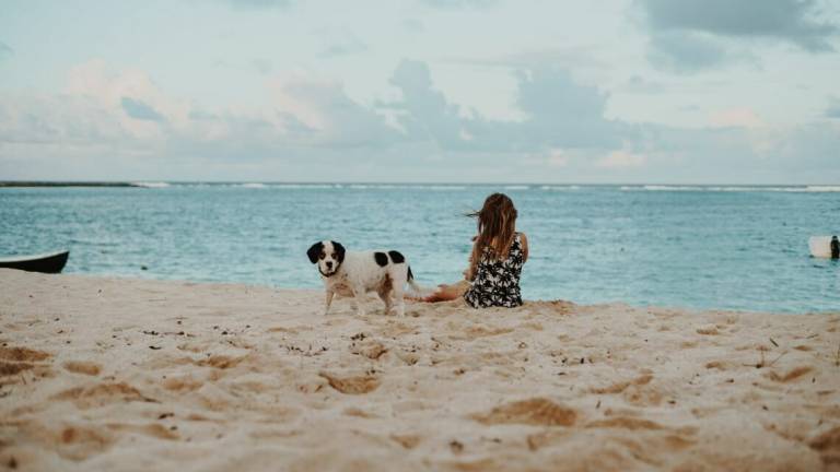 Cani in spiaggia, Ravenna conferma le aree a loro dedicate Cani in spiaggia, Ravenna conferma le aree a loro dedicate