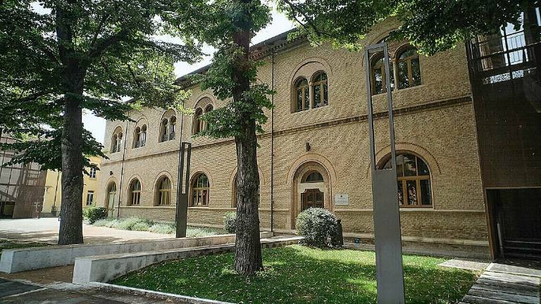 Università Rimini, studenti occupati entro un anno dalla laurea Università Rimini, studenti occupati entro un anno dalla laurea