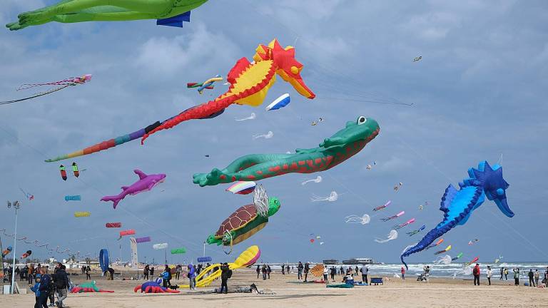 Rimini, spettacolo con gli aquiloni Rimini, spettacolo con gli aquiloni
