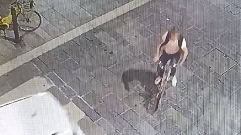 Furti di biciclette a Faenza, denunciate cinque persone Furti di biciclette a Faenza, denunciate cinque persone
