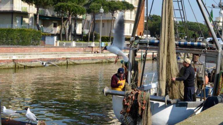 Al Musa di Cervia “Gente di Mare” fino al 13 aprile Al Musa di Cervia “Gente di Mare” fino al 13 aprile