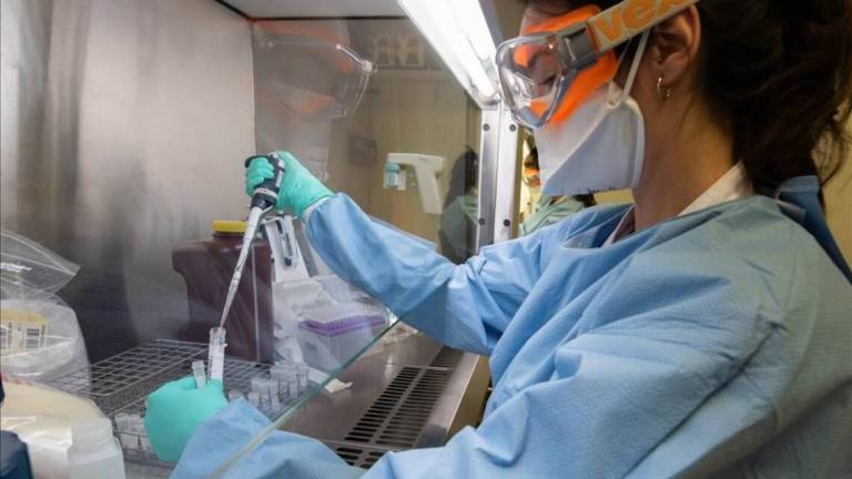 Forlì, Coronavirus: un morto e due contagiati Forlì, Coronavirus: un morto e due contagiati