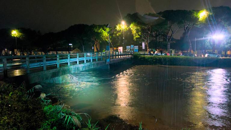 Il ponte sul Senio a Cotignola nella notte tra mercoledì e giovedì (Fiorentini) Il ponte sul Senio a Cotignola nella notte tra mercoledì e giovedì (Fiorentini)