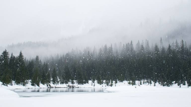 Arriva la neve: venerdì allerta meteo gialla in Appennino Arriva la neve: venerdì allerta meteo gialla in Appennino