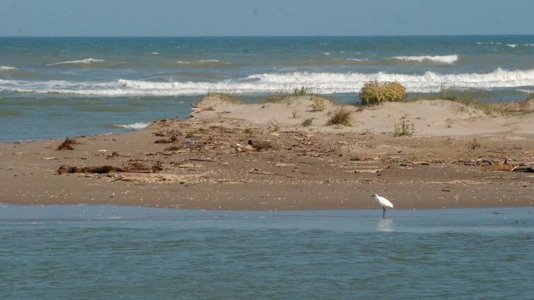 Ravenna, una scogliera soffolta alla foce del Bevano: via libera della giunta Ravenna, una scogliera soffolta alla foce del Bevano: via libera della giunta