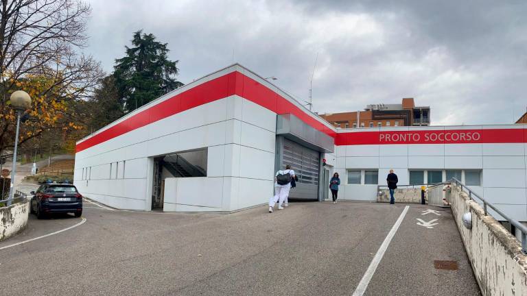 Cesena, partorisce in casa e getta il bimbo a fianco dei cassonetti dei rifiuti Cesena, partorisce in casa e getta il bimbo a fianco dei cassonetti dei rifiuti