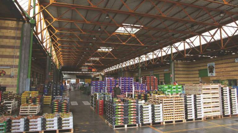 Mercato ortofrutticolo di Cesena: è ancora scontro Mercato ortofrutticolo di Cesena: è ancora scontro