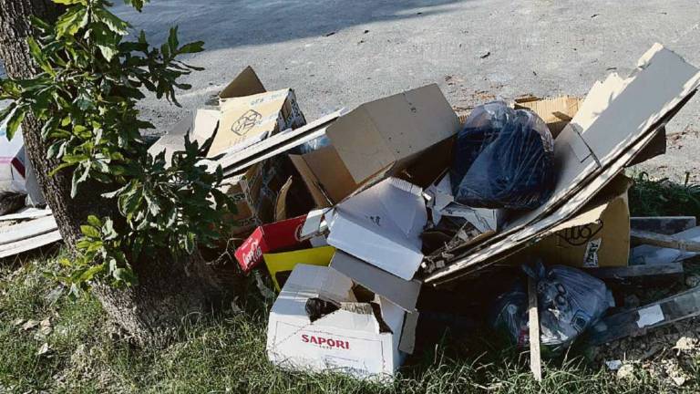 Forlì. Romiti trattati come una discarica Forlì. Romiti trattati come una discarica