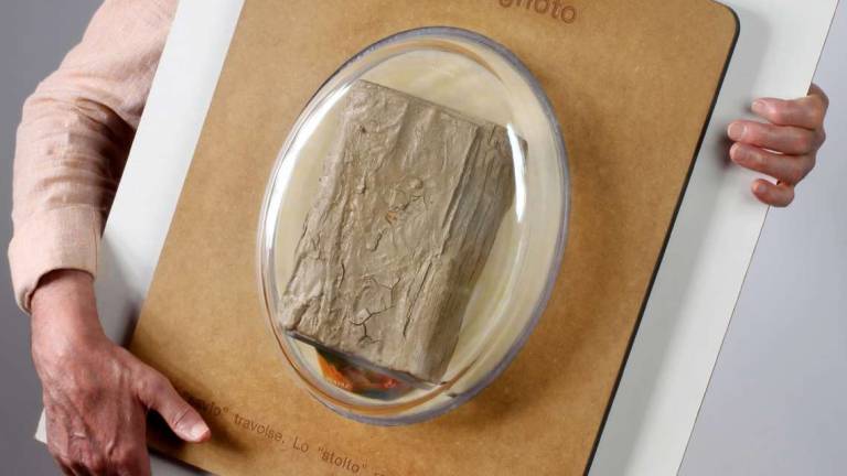 Cesena: un libro ignoto diventa arte d'alluvione Cesena: un libro ignoto diventa arte d'alluvione