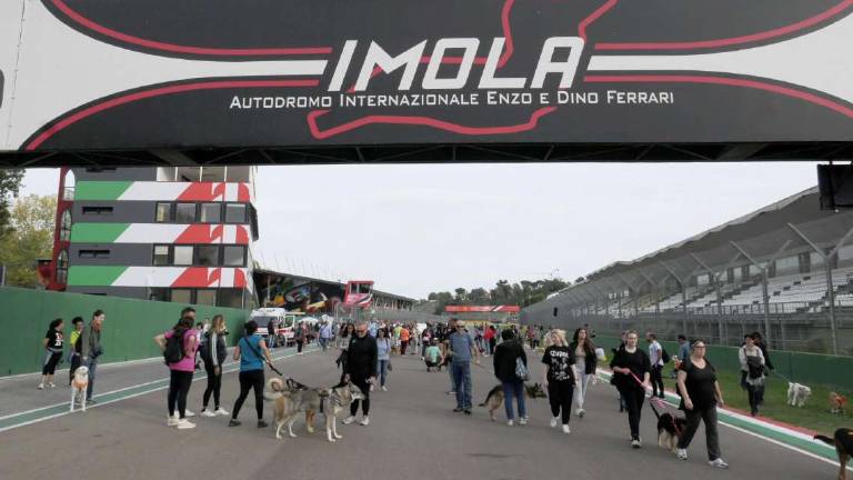 Imola, successo per la passeggiata a sostegno del canile e gattile Imola, successo per la passeggiata a sostegno del canile e gattile