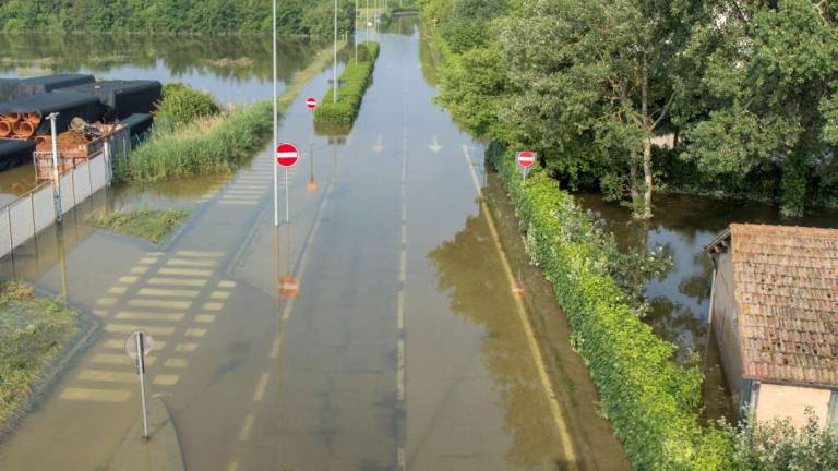 Ravenna, danni da alluvione: Scorretti gli avvocati che promettono class action Ravenna, danni da alluvione: Scorretti gli avvocati che promettono class action