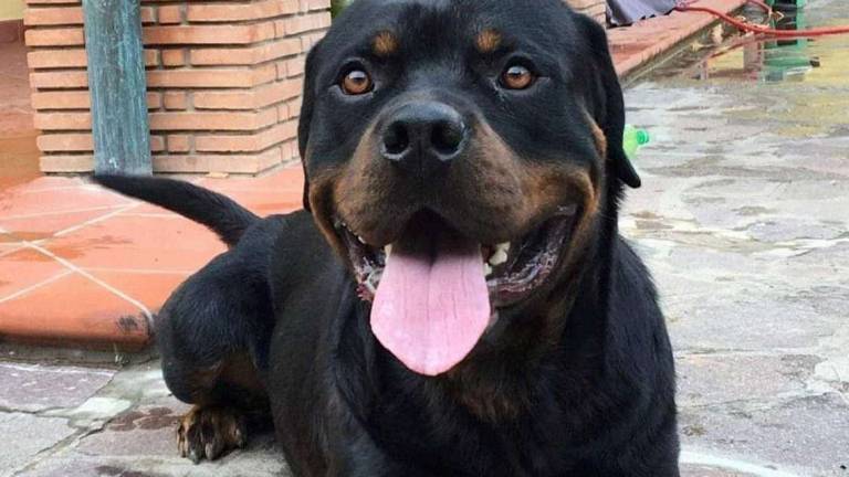 King, il re ora è senza trono King, il re ora è senza trono