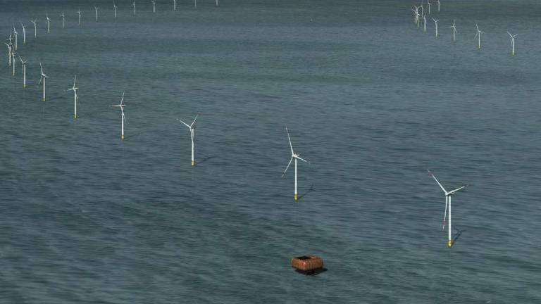 Parco eolico: il nuovo progetto per Rimini, 51 pale a 10 miglia Parco eolico: il nuovo progetto per Rimini, 51 pale a 10 miglia