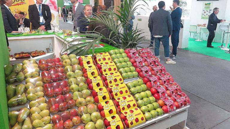 Agricoltura, la Regione chiede al Ministro lancio insetti antagonisti per salvare frutta Agricoltura, la Regione chiede al Ministro lancio insetti antagonisti per salvare frutta