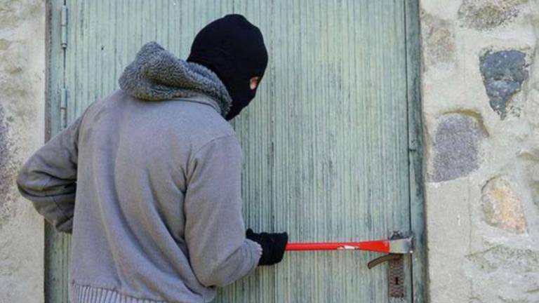 Cesena: ladri di attrezzi agricoli in azione: Dalle zappatrici alle carriole, portano via di tutto Cesena: ladri di attrezzi agricoli in azione: Dalle zappatrici alle carriole, portano via di tutto