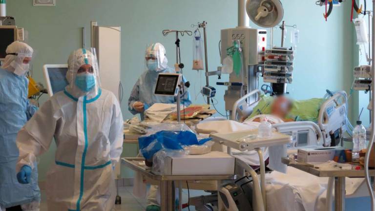 Ravenna, negli ospedali il 27% dei morti del 2021 causato dal covid Ravenna, negli ospedali il 27% dei morti del 2021 causato dal covid
