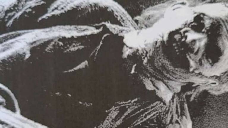 Ravenna, stalking sulla vicina a colpi di film horror Ravenna, stalking sulla vicina a colpi di film horror
