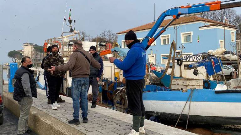 Cesenatico, sequestrate 500 casse di pesce azzurro Cesenatico, sequestrate 500 casse di pesce azzurro