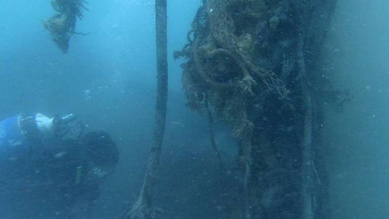 Rimini, se inquini, ti denuncio: la svolta di Basta plastica in mare Rimini, se inquini, ti denuncio: la svolta di Basta plastica in mare