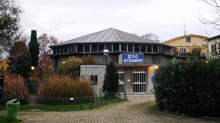 Imola, lo Zoo Acquario diventa la casa dell'innovazione tecnologica Imola, lo Zoo Acquario diventa la casa dell'innovazione tecnologica