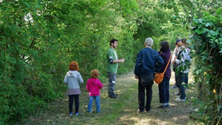 La missione per recuperare piante in via d’estinzione La missione per recuperare piante in via d’estinzione