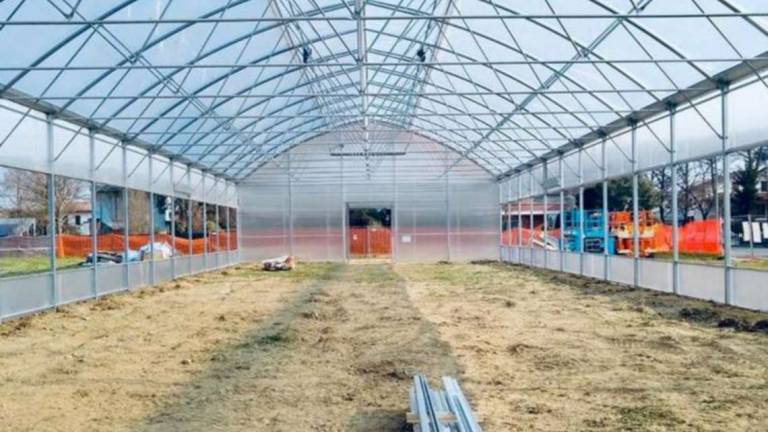 Forlì. La serra all'Istituto Ruffilli sarà pronta a primavera Forlì. La serra all'Istituto Ruffilli sarà pronta a primavera
