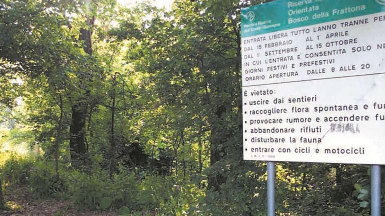 Imola, un pieno di richieste per le visite al bosco della Frattona Imola, un pieno di richieste per le visite al bosco della Frattona