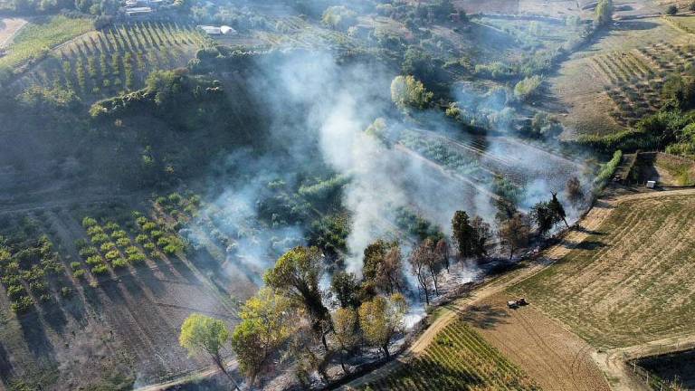 A Musano di Roncofreddo bruciano 5mila metri quadri di terreno A Musano di Roncofreddo bruciano 5mila metri quadri di terreno
