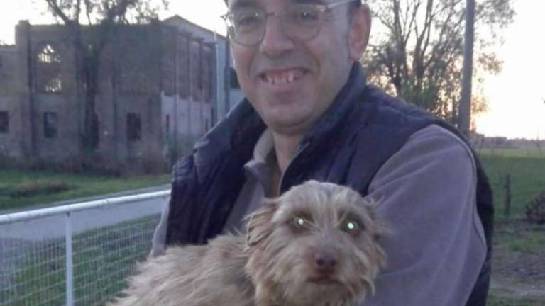 Conselice, ritrovato il cane rubato una settimana fa Conselice, ritrovato il cane rubato una settimana fa