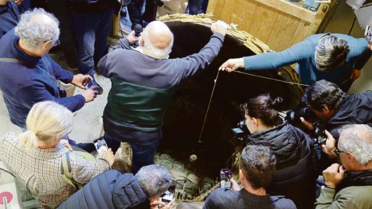 Roncofreddo, dalla Slovenia per i formaggi sfossati da Brancaleoni VIDEO Roncofreddo, dalla Slovenia per i formaggi sfossati da Brancaleoni VIDEO